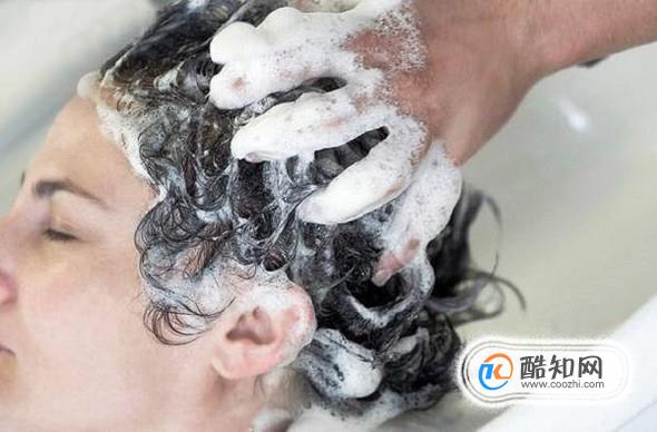 ��������ӵ��һͷ������ͷ������